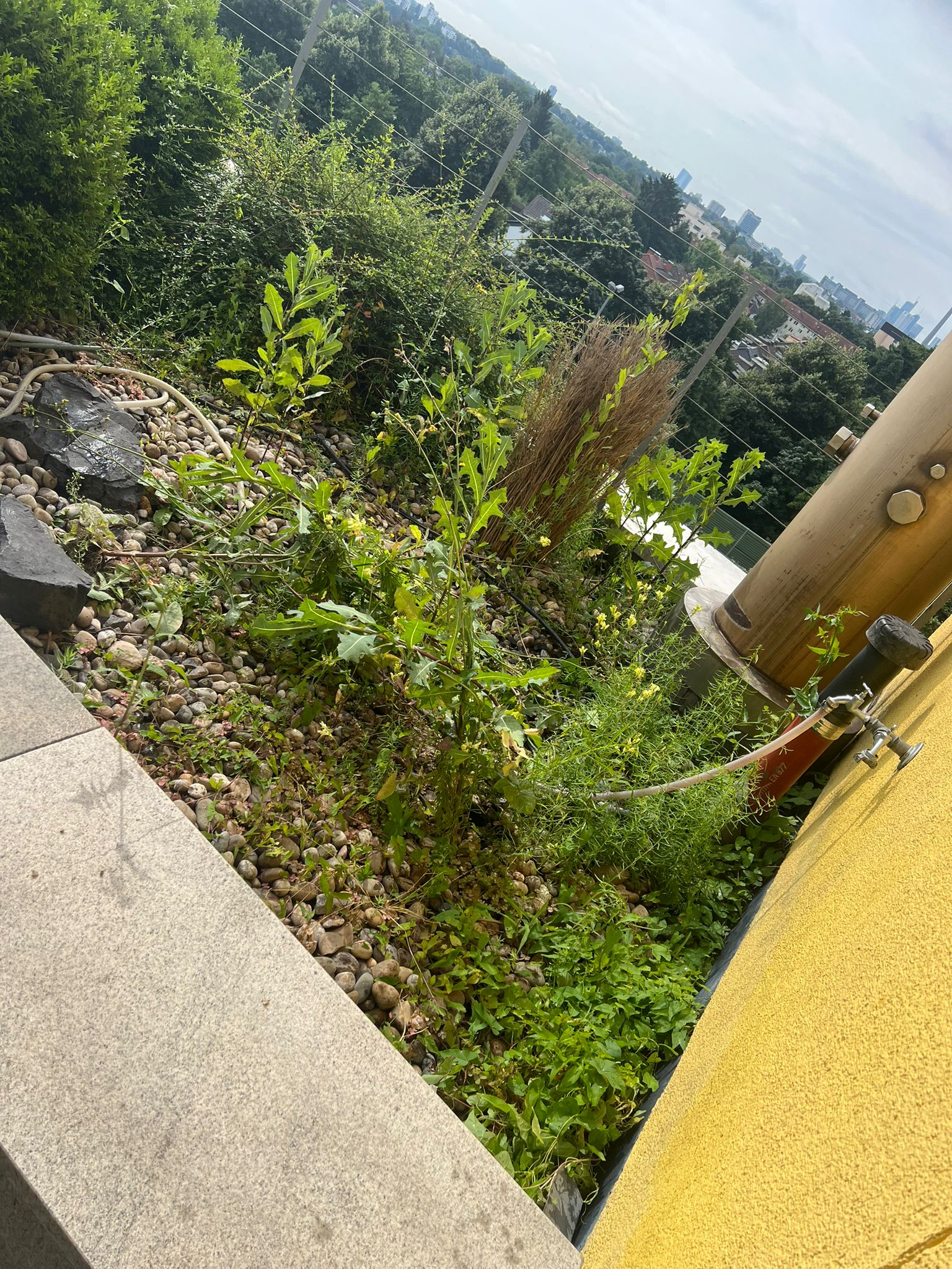 Detailansicht Naturstein